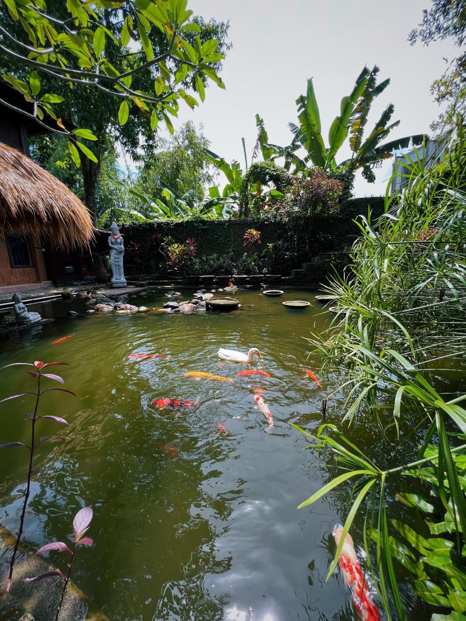 Villa Neshama Canggu Exterior foto