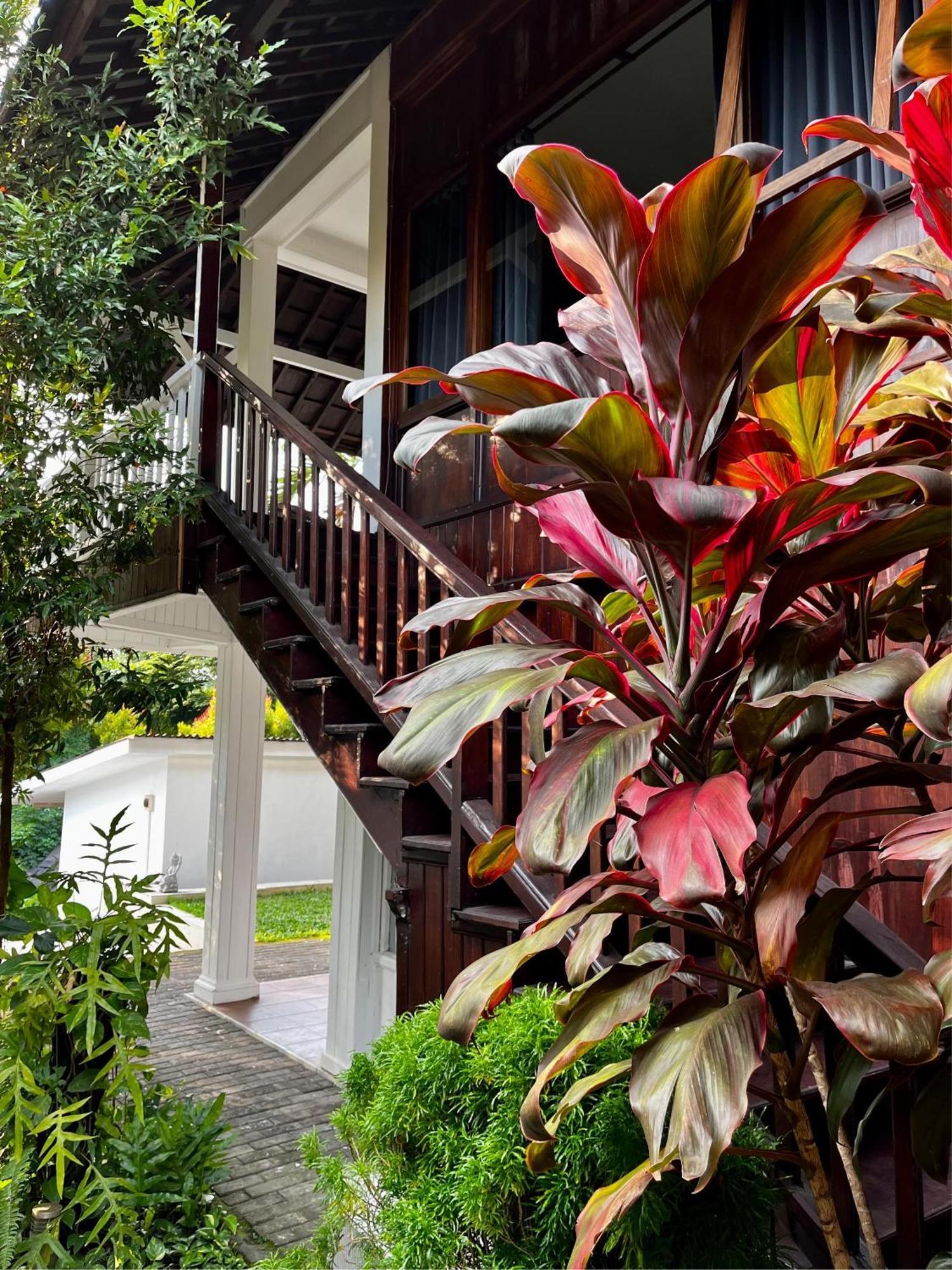 Villa Neshama Canggu Exterior foto