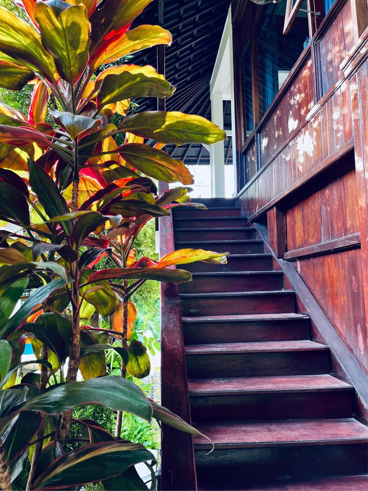 Villa Neshama Canggu Exterior foto